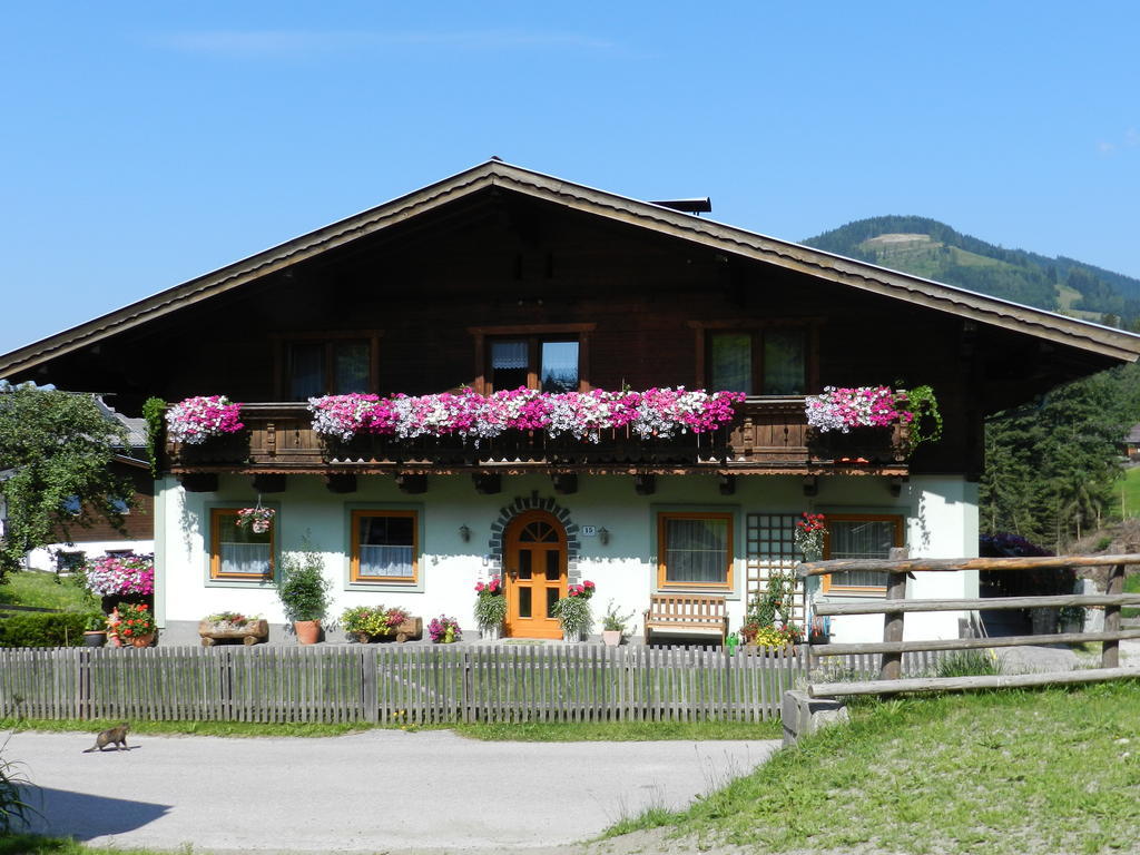 Kleinwidmoos-Apartment Wagrain Pokój zdjęcie